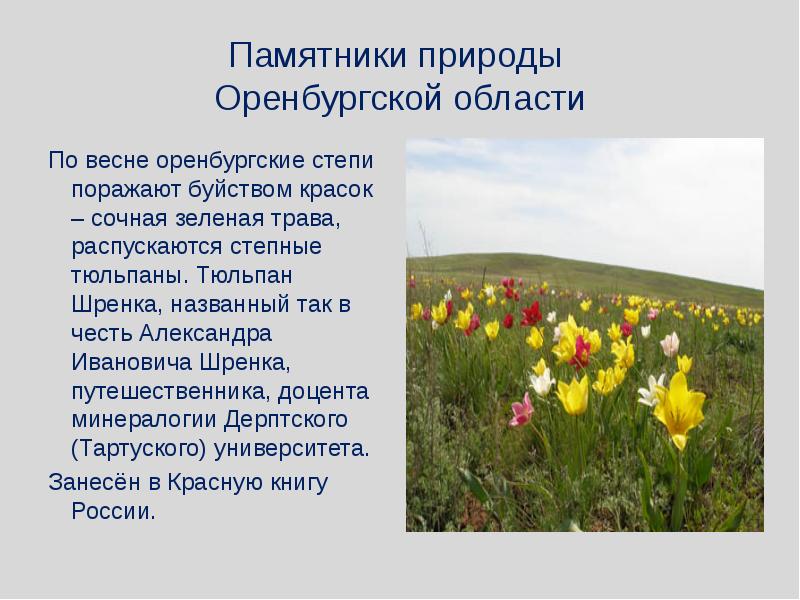 Презентация климат оренбургской области