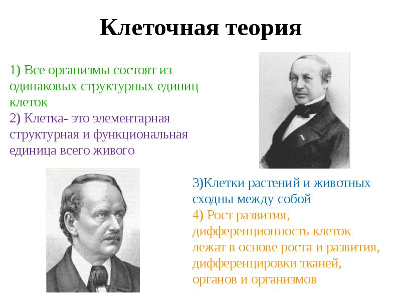 Согласно клеточной теории клетки всех организмов. Клеточная теория. Основоположники клеточной теории. Теория клеточной теории. Основатели клеточной теории в биологии.