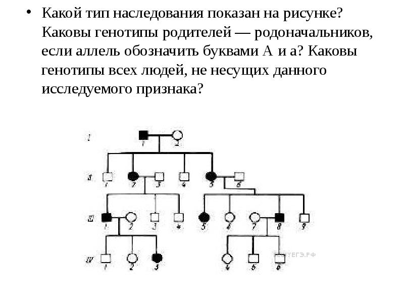 Какой тип наследования показан на рисунке каковы генотипы родителей родоначальников если аллель