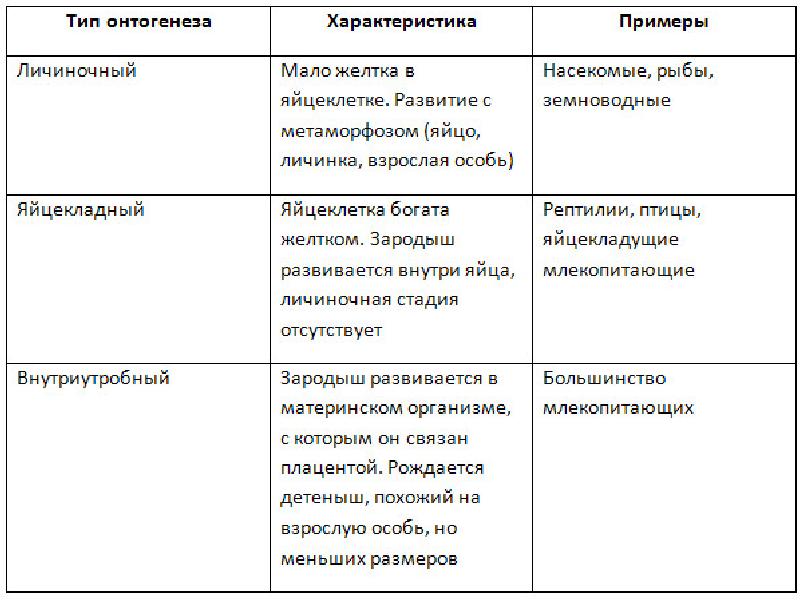 Онтогенез особенности процесса. Типы онтогенеза таблица. Типы онтогенеза у животных таблица 9 класс. Типы онтогенеза таблица характеристика примеры. Таблица этапы и особенности онтогенеза.