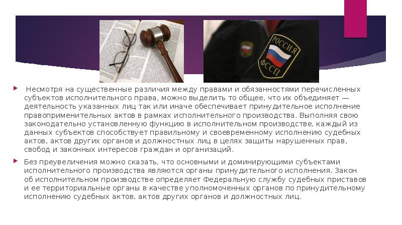 Несмотря на существенные различия между правами и обязанностями перечисленных субъектов исполнительного