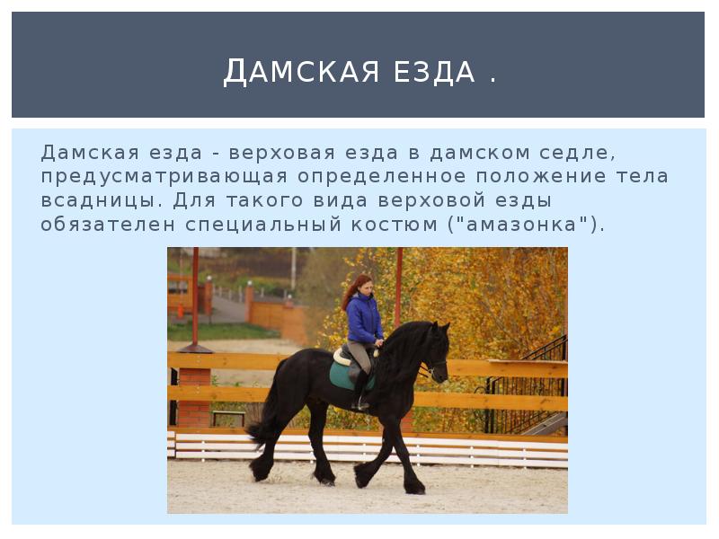 Дамская езда . Дамская езда - верховая езда в дамском седле,