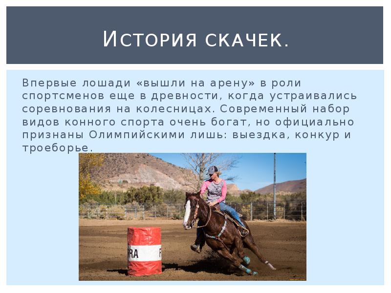 История скачек. Впервые лошади «вышли на арену» в роли спортсменов еще