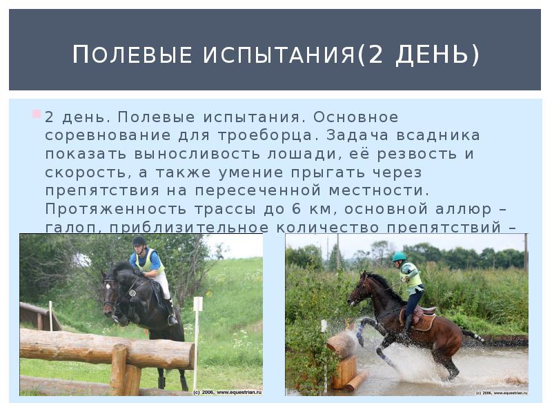 Полевые испытания(2 день) 2 день. Полевые испытания. Основное соревнование для троеборца.