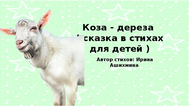 План коза дереза