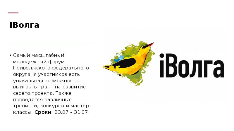 Иволга магазин одежды. Иволга форум логотип. Iволга форум. Молодежный форум Иволга. «Iволга» 2020.