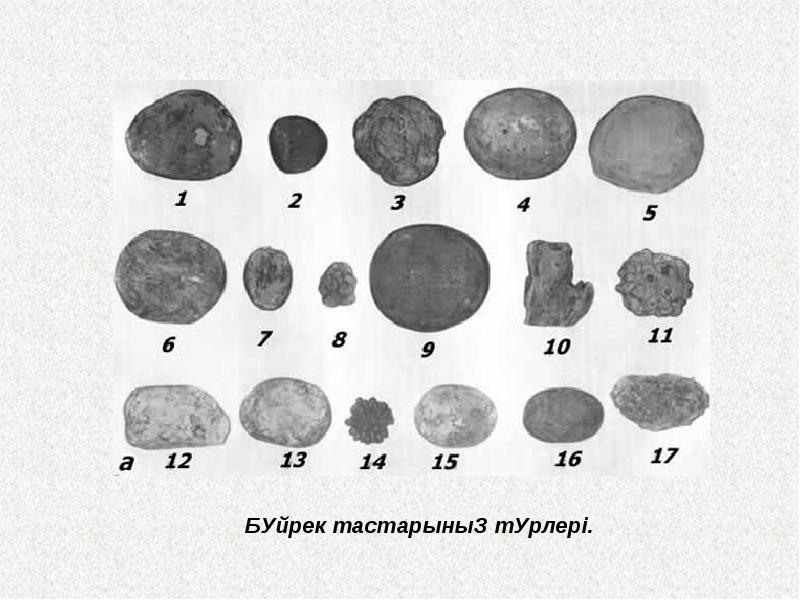 Озон карта справка для госслужащих