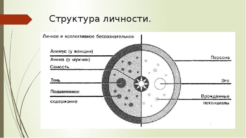 Аналитическая психология юнга презентация