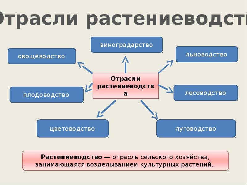 Основные направления в растениеводстве 5 класс презентация