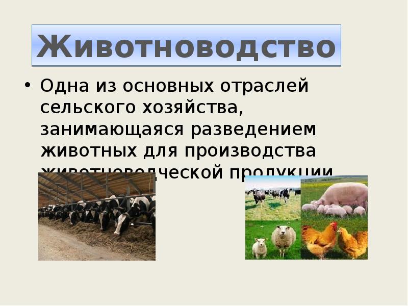 Презентация агропромышленный комплекс кировской области