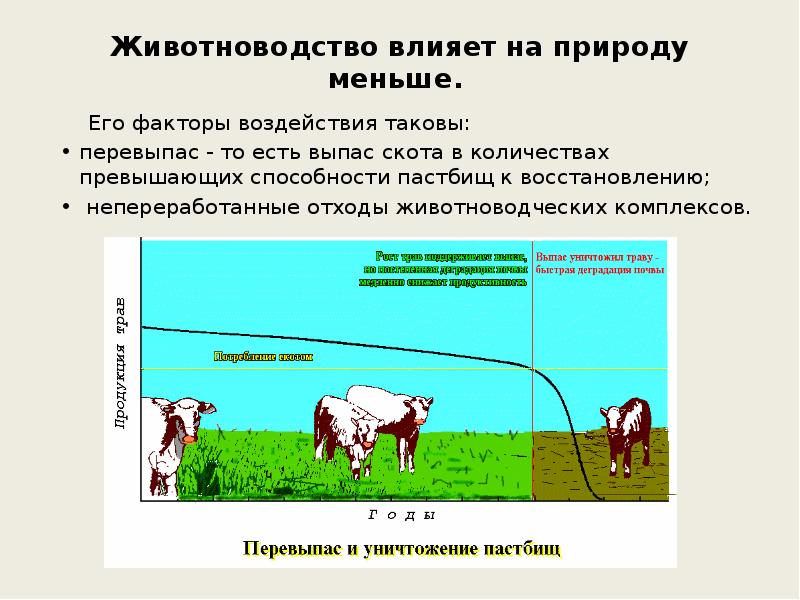 Сельская среда презентация по экологии