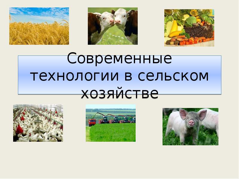 Сельское хозяйство 6 класс. Технологии сельского хозяйства презентация. Технологии растениеводства и животноводства. Современными технологиями растениеводства и животноводства.. Проект на тему современные технологии в сельском хозяйстве.