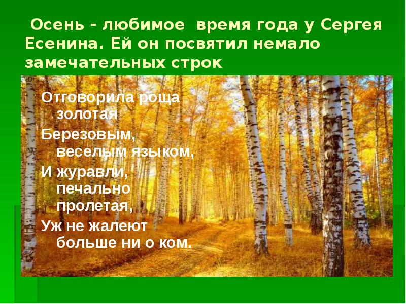 Каждая картинка соответствует какому то четверостишию в стихотворении русская природа