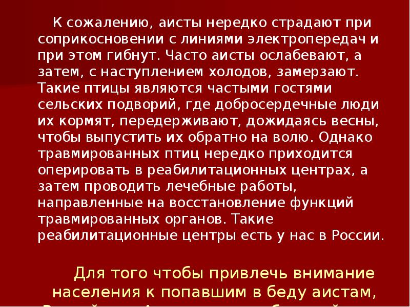 К сожалению, аисты нередко страдают при соприкосновении с линиями электропередач и К сожалению, аисты нередко страдают при соприкосновении с линиями электропередач и