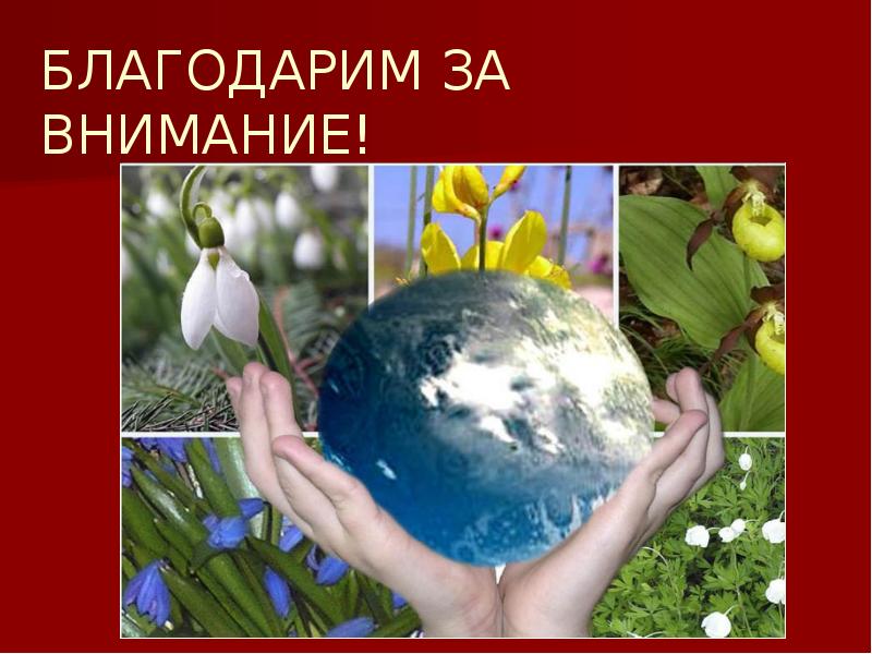 БЛАГОДАРИМ ЗА ВНИМАНИЕ! БЛАГОДАРИМ ЗА ВНИМАНИЕ!