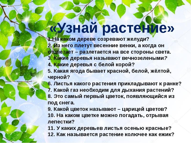 Зеленая аптека презентация для детей начальной школы