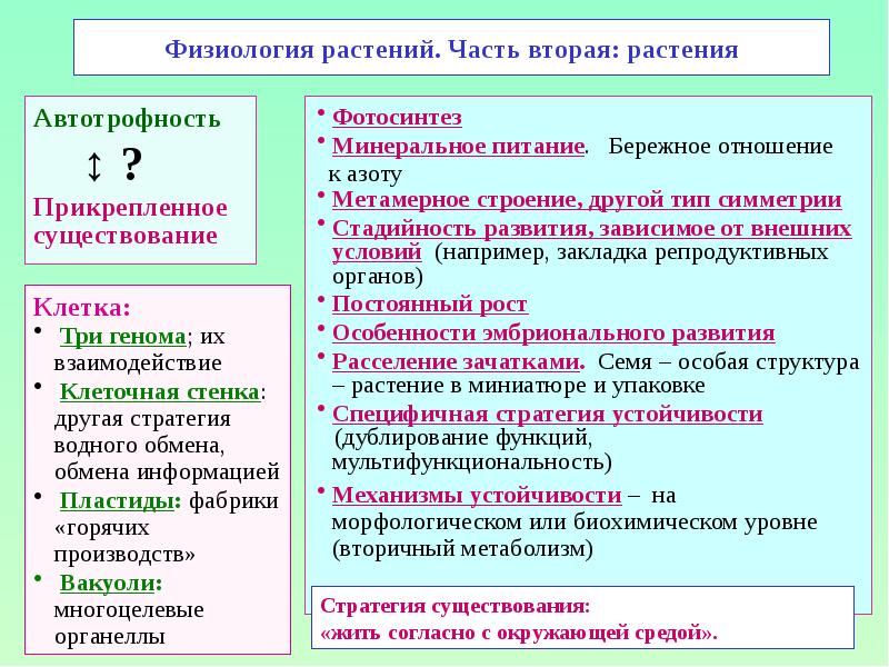 Физиология растений картинки