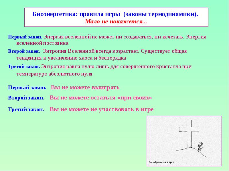Биоэнергетика: правила игры (законы термодинамики).  Мало не покажется... Первый закон.