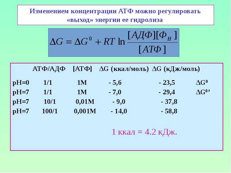 Изменением концентрации АТФ можно регулировать «выход» энергии ее гидролиза  		АТФ/АДФ