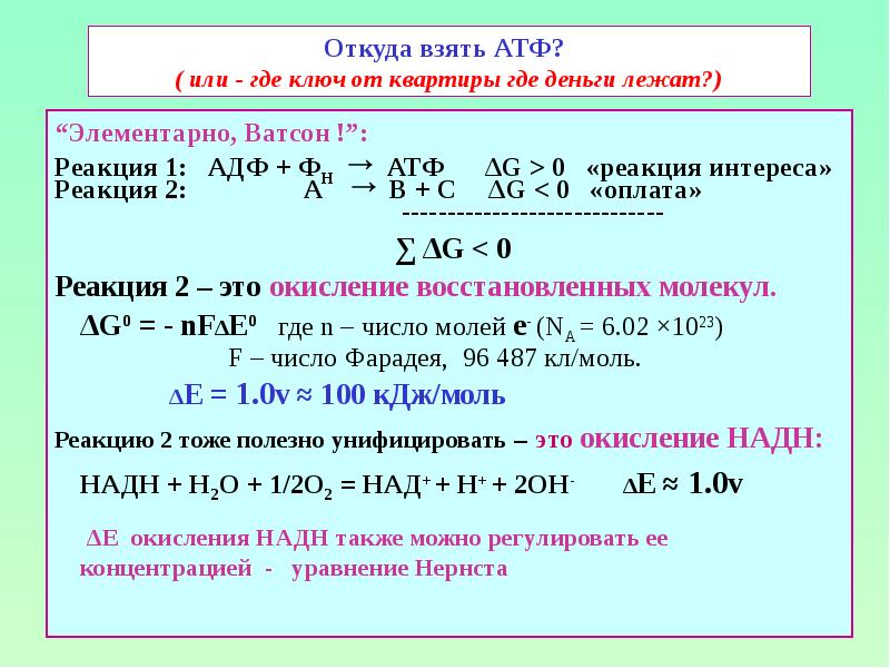 Откуда взять АТФ?  ( или - где ключ от квартиры