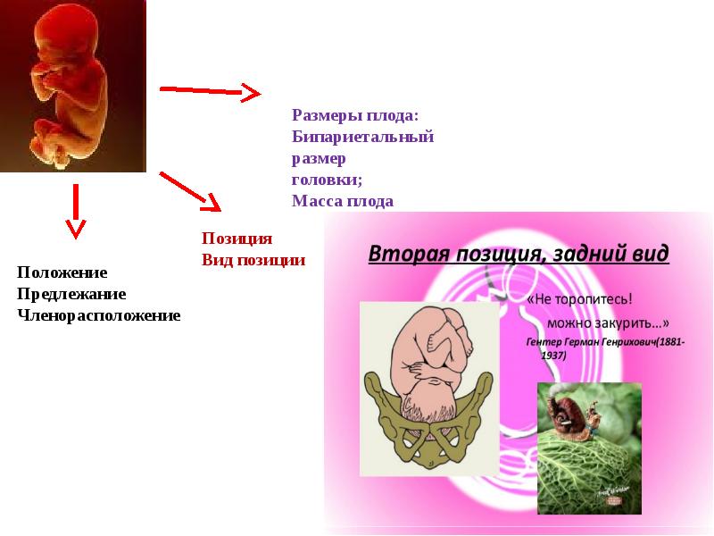 Родовой травматизм презентация