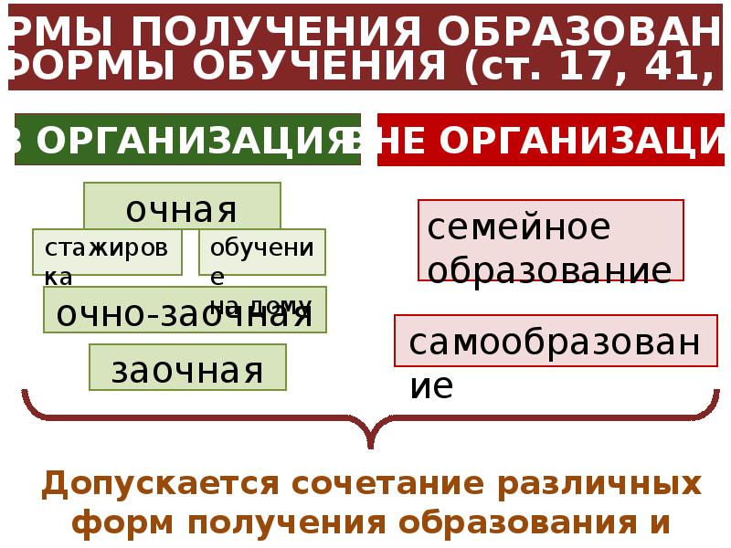 Какая статья закона об образовании устанавливает что лицензия должны иметь обязательное приложение