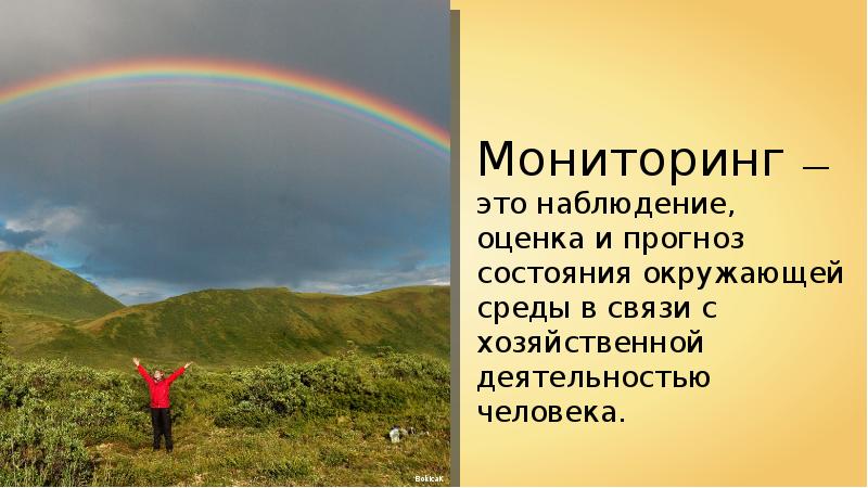 Презентация на тему законы россии об охране животного мира система мониторинга