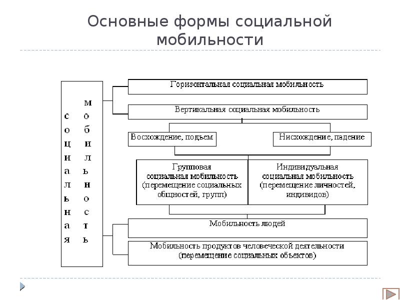 Социальная мобильность виды. Социальная мобильность схема. Формы социальной мобильности. Структура социальной мобильности. Основные виды социальной мобильности.