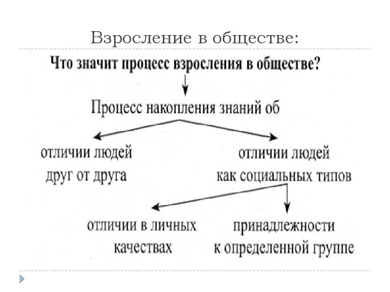 Презентация социальная структура и социальные отношения