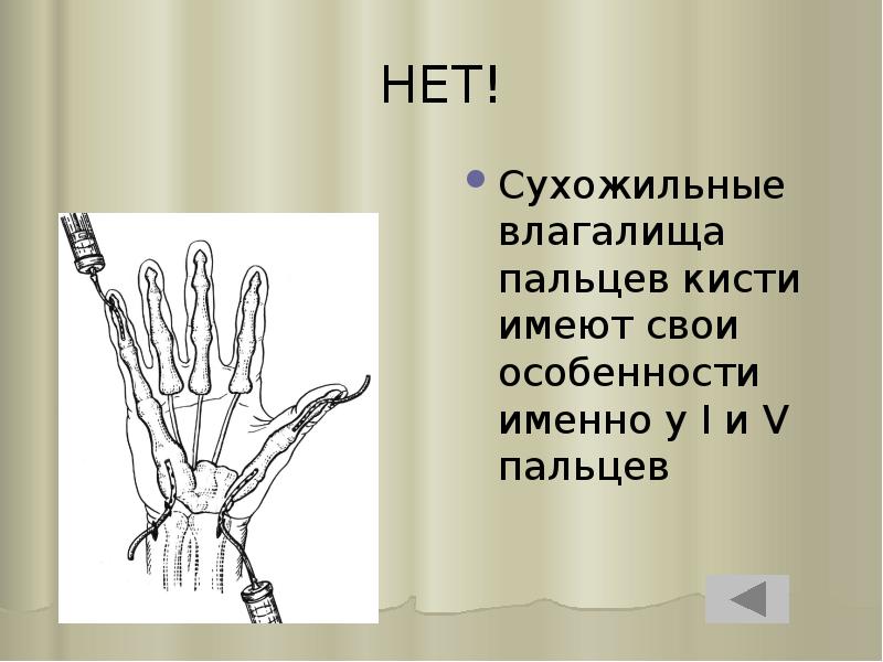 НЕТ!
Сухожильные влагалища пальцев кисти имеют свои особенности именно у I НЕТ!
Сухожильные влагалища пальцев кисти имеют свои особенности именно у I