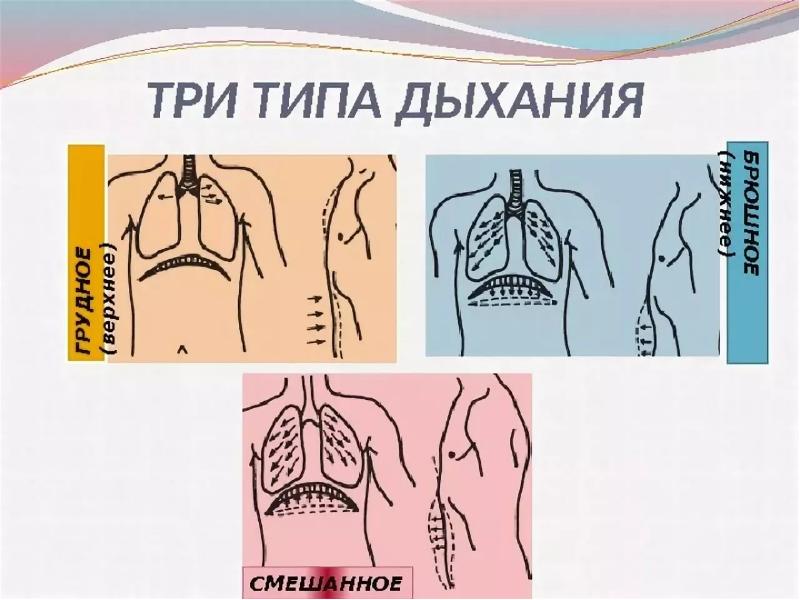 Смешанное дыхание. Типы дыхания грудной брюшной и смешанный. Грудной Тип дыхания. Грудной и брюшной Тип дыхания. Смешанный Тип вдыхания.