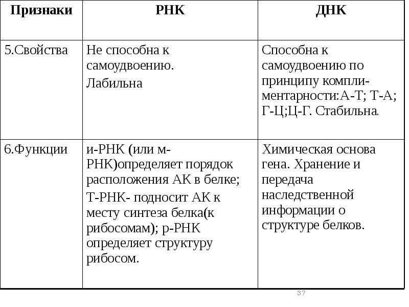 Нуклеиновая кислота функции свойства. Строение и функции нуклеиновых кислот таблица. Характеристика нуклеиновых кислот.