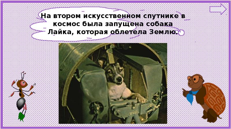 Презентация по окружающему миру 1 класс почему в автомобиле и поезде нужно соблюдать правила