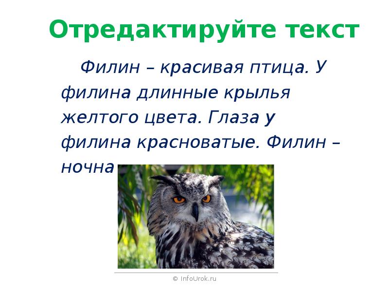 Https infourok ru prezentaciya k. Infourok 3 класс. Коты презентация Инфоурок.