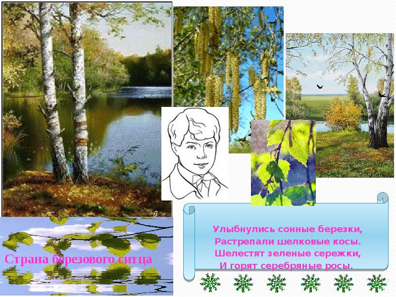 есенин шелестят зеленые сережки. улыбнулись сонные березки растрепали шелковые косы какое время года. и стоит берёза в сонной тишине и горят снежинки в золотом огне. улыбнулись сонные березки какое время года. растрепали косы улыбнулись сонные березки.
