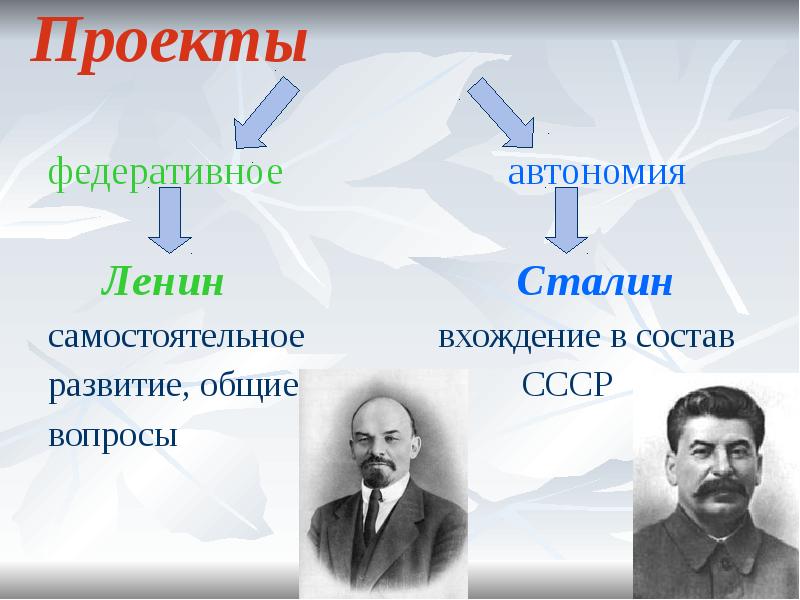 План автоматизации как основу объединения советских республик выдвинул