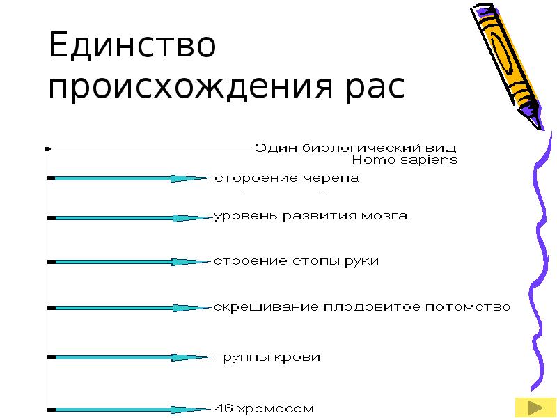 Единство происхождение рас