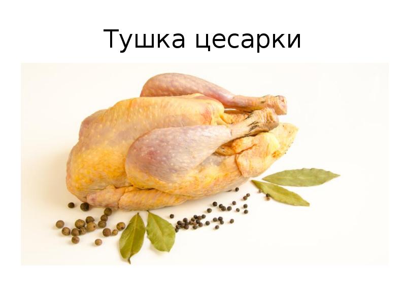 Мясо птицы презентация