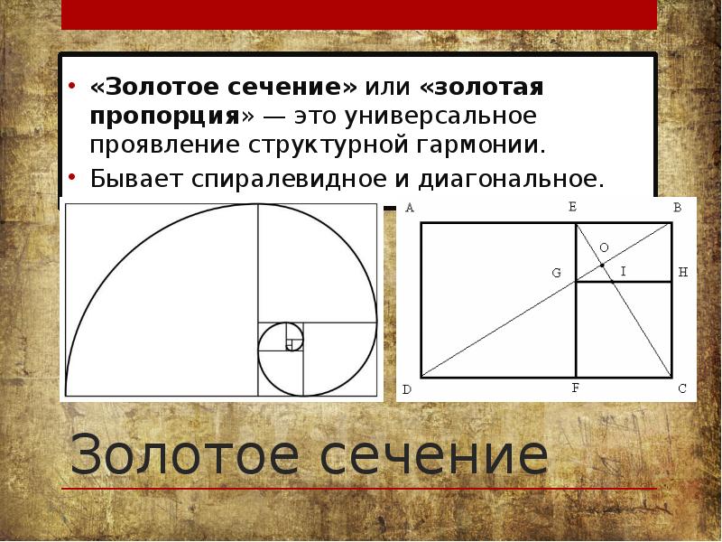 Исследовательский проект золотое сечение