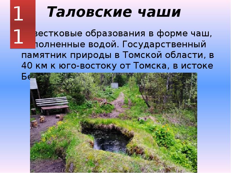 Таловские чаши Известковые образования в форме чаш, наполненные водой. Государственный памятник