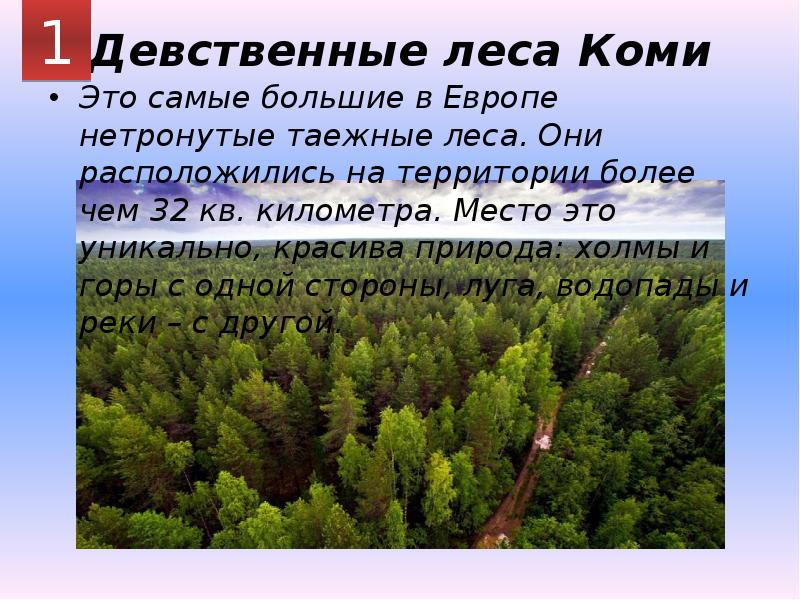 Девственные леса Коми Это самые большие в Европе нетронутые таежные леса.