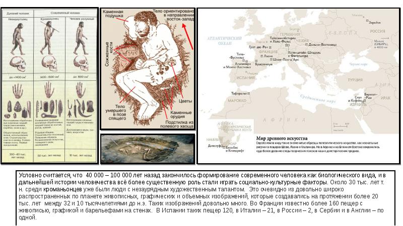 Origin of species манга