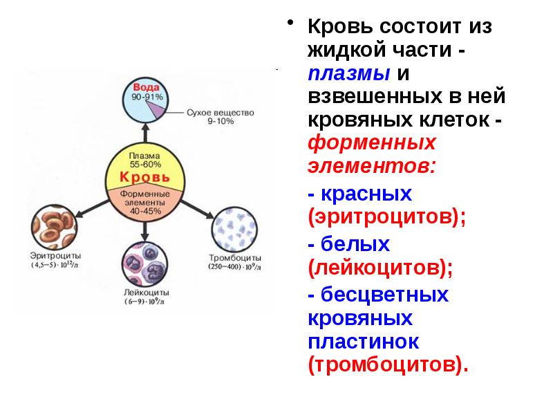 Состав и функции крови презентация