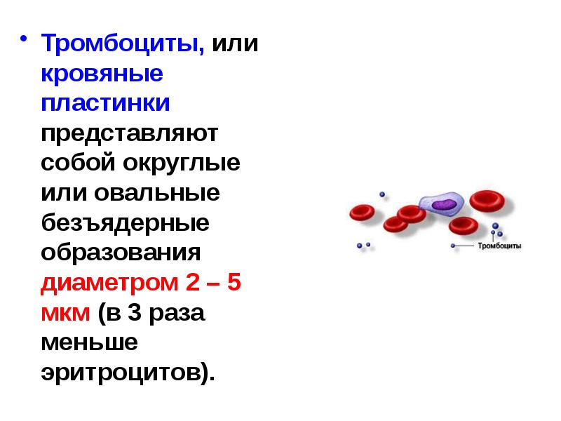 Кровь состав крови 8 класс презентация