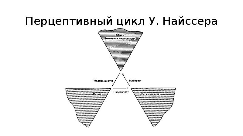 Поли перцептивный. Перцептивный цикл Найссера схема. Теория перцептивного цикла – Найссер. Теория восприятия Найссера. Когнитивная схема Найссера.