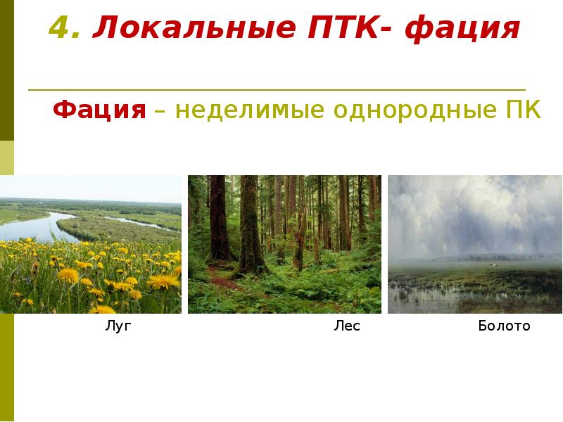 Птк это. ПТК природно территориальный комплекс. Природно территориальный комплекс локальный. Природно-территориальный комплекс примеры. Локальные природные комплексы примеры.