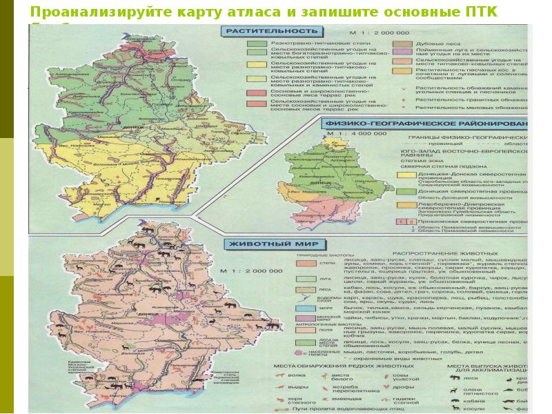 Физико географическое районирование донецкого края дополните схему