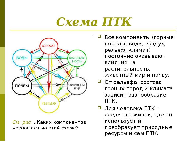 Опишите компоненты природного комплекса своей местности и связи между ними по плану