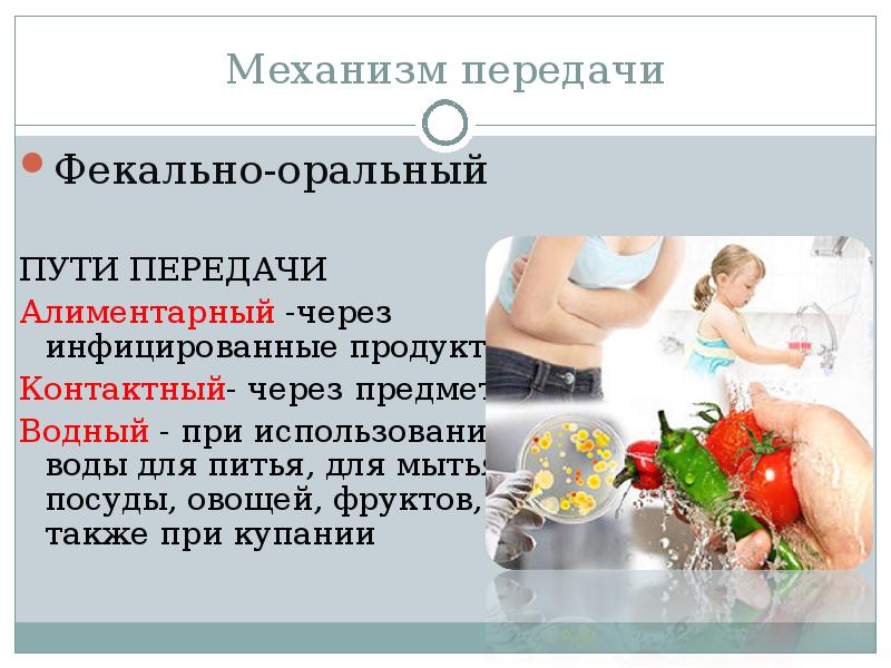 Алиментарный это. Брюшной тиф пути заражения. Брюшной тиф пути передачи. Тиф профилактика заболеваний. Брюшной тиф механизм передачи.