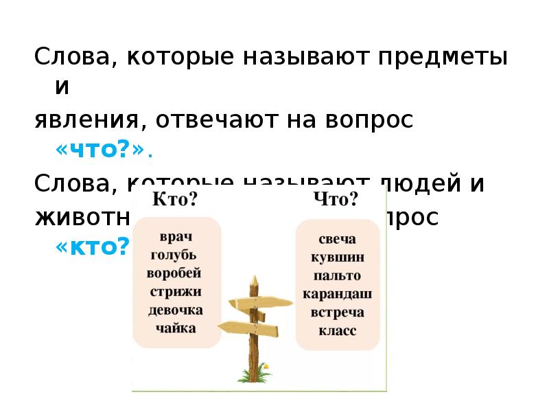 10 слов которые из. Слова которые отвечают на вопрос кто. Какие слова предметы отвечают на вопросы кто, что.